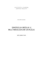 Sinergija medija u multimedijskom okruženju