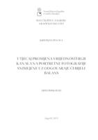 prikaz prve stranice dokumenta Utjecaj promjena vrijednosti RGB kanala na portretne fotografije snimljene uz odgovarajući bijeli balans